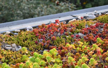 the cost of Wampool green roof installation